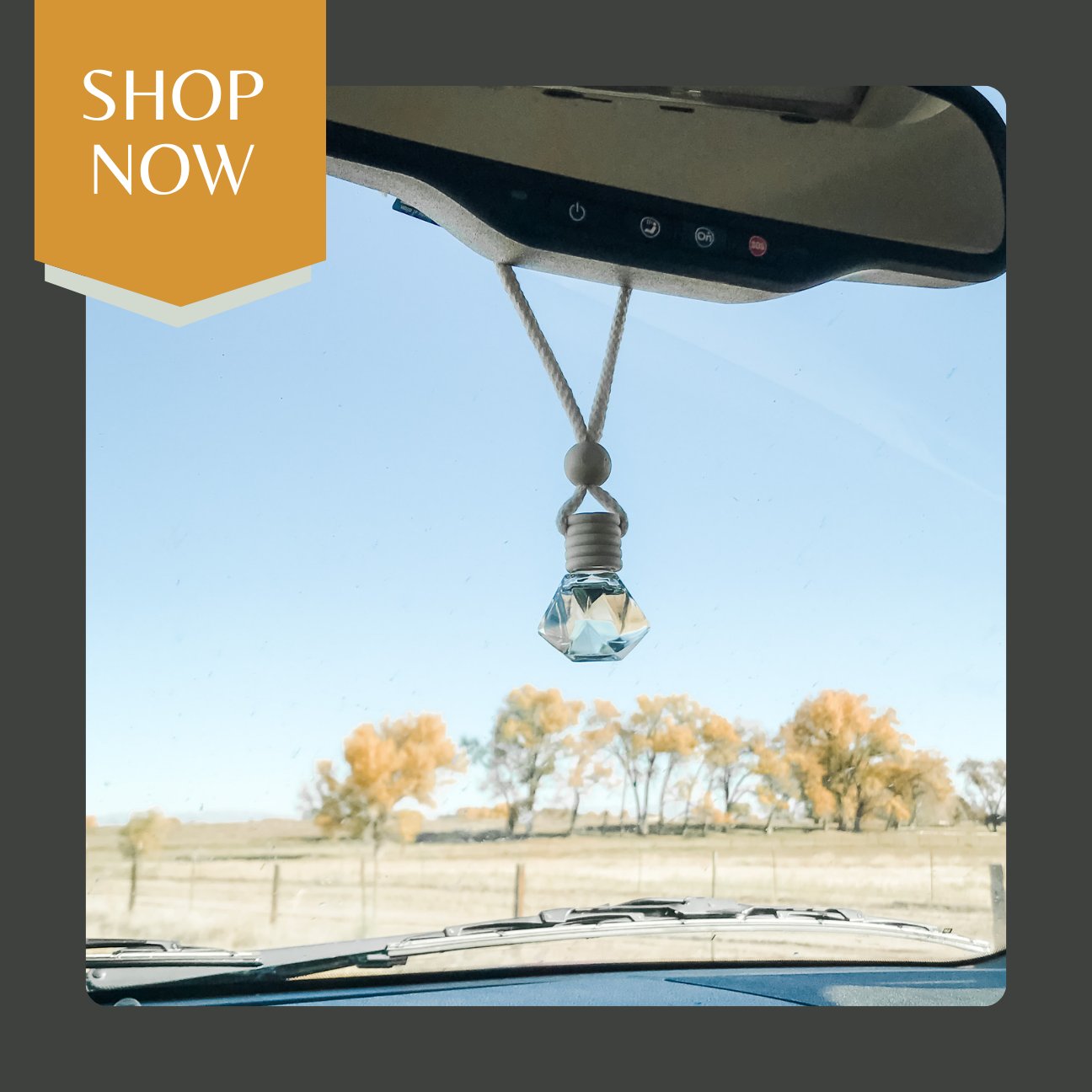 Car Diffusers