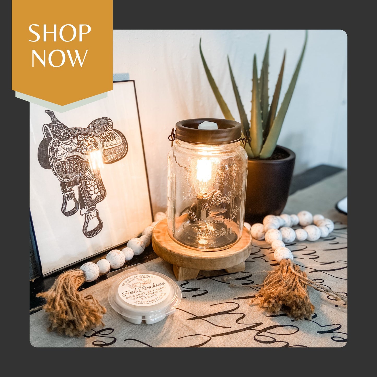 Wax Melts + Warmers