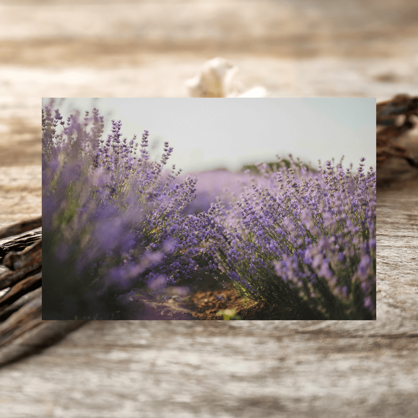 Lavender + Amber Mason Jar Candle, 100% Natural Wax